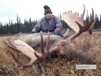 Canada BC Smiters 2 moose.jpg